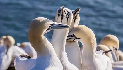 玉林伴游，定制QQ：3494206190微信：act1322